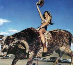 Lamont : Muscle, Guts and Luck